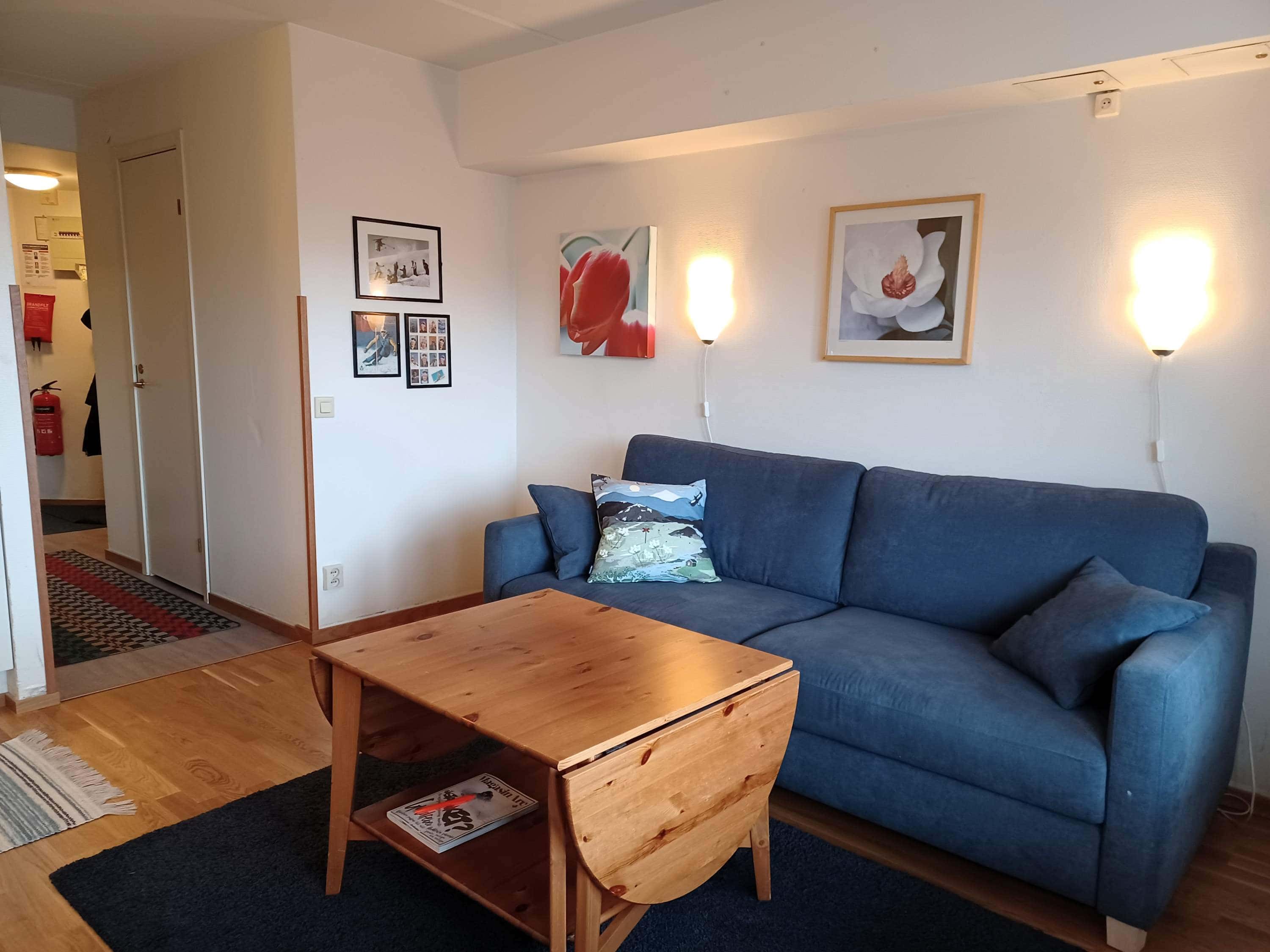 Compact apartment in central Åre, walking distance to ski lifts, slopes and village square