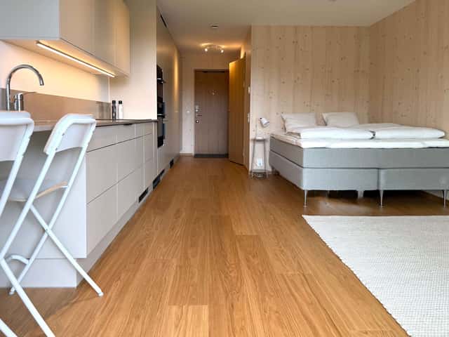 Modern studio interior in Kungsholmen, private balcony for coffees, large courtyard space