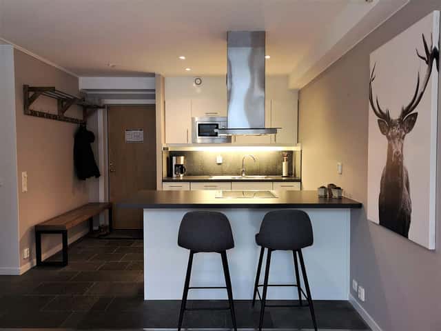 Central apartment in Åre near the village square and Bergbanan, close to ski area with parking and ski storage