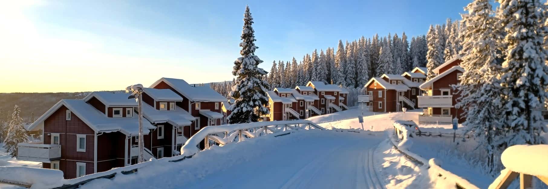 Björnen