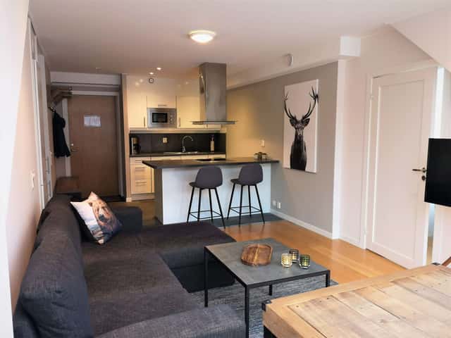 Central apartment in Åre near the village square and Bergbanan, close to ski area with parking and ski storage