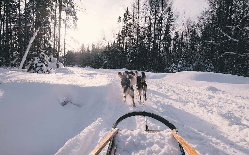Vad kostar hundspann i Åre?