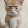 Petter
