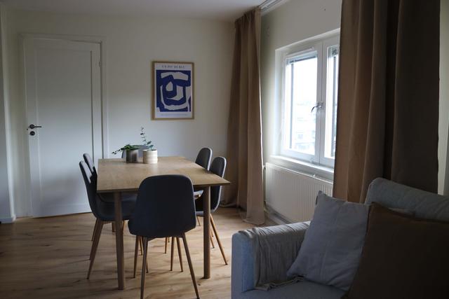 modern kitchen, SoFo apartment kitchen, Södermalm bright cooking area