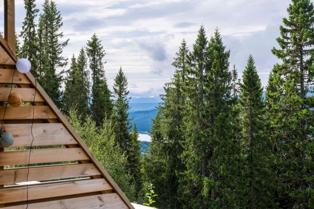 Björnen area apartment with lake and mountain views.