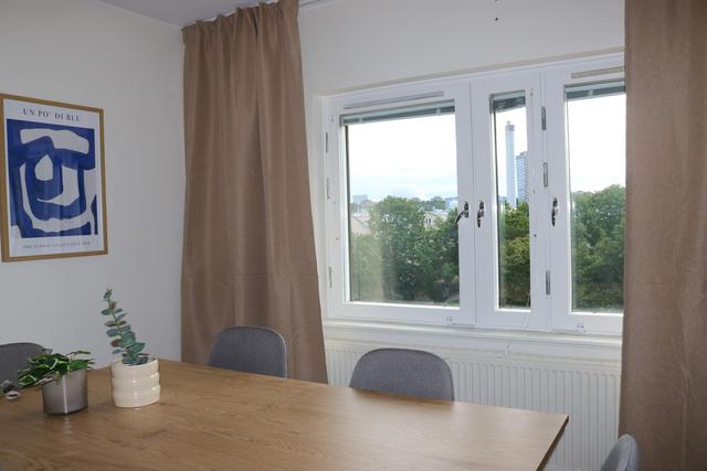 modern kitchen, SoFo apartment kitchen, Södermalm bright cooking area