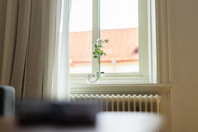 Living room with a convertible sofa in central Gothenburg apartment.