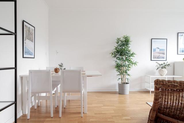 Modern kitchen in Stockholm apartment near Södermalm