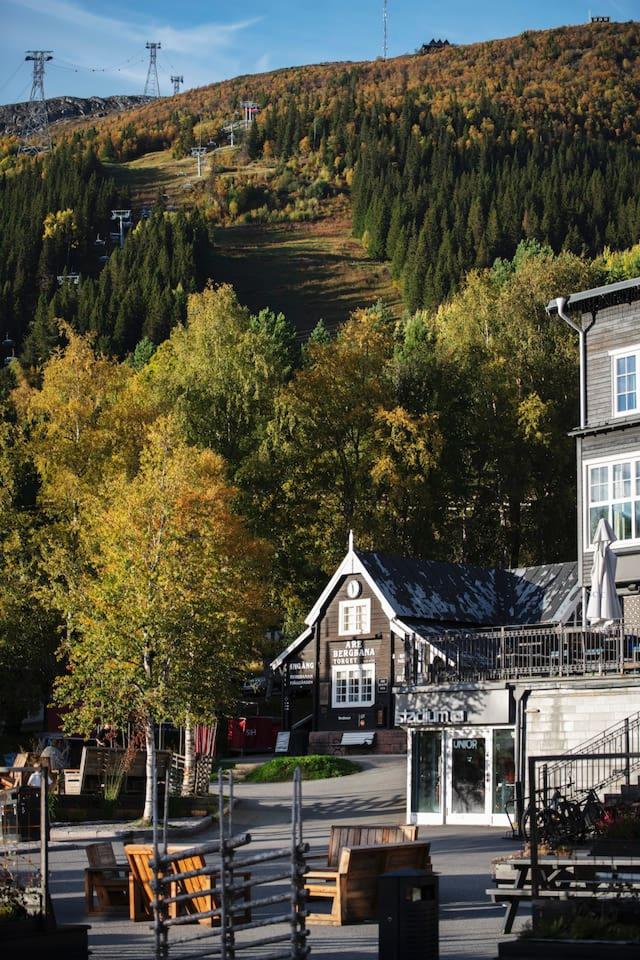 Historic Åre apartment with ski access.