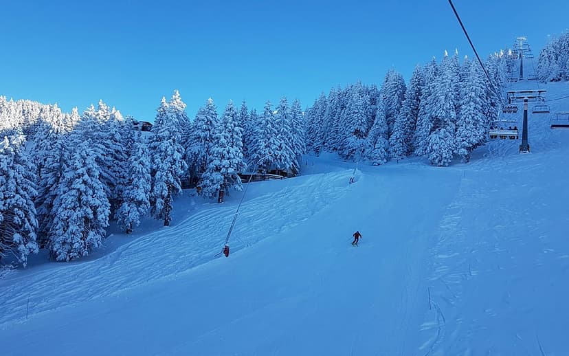 Den femte årstiden i fjällen