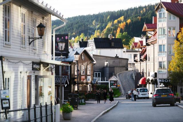 Studio i Åre med sjöutsikt, kompakt kök och bekväm säng.