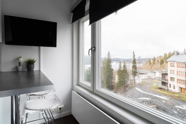 Sov- och vardagsrum, kompakt kök med mikrovågsugn, badrum med dusch, förvaringshall, panoramautsikt över sjön