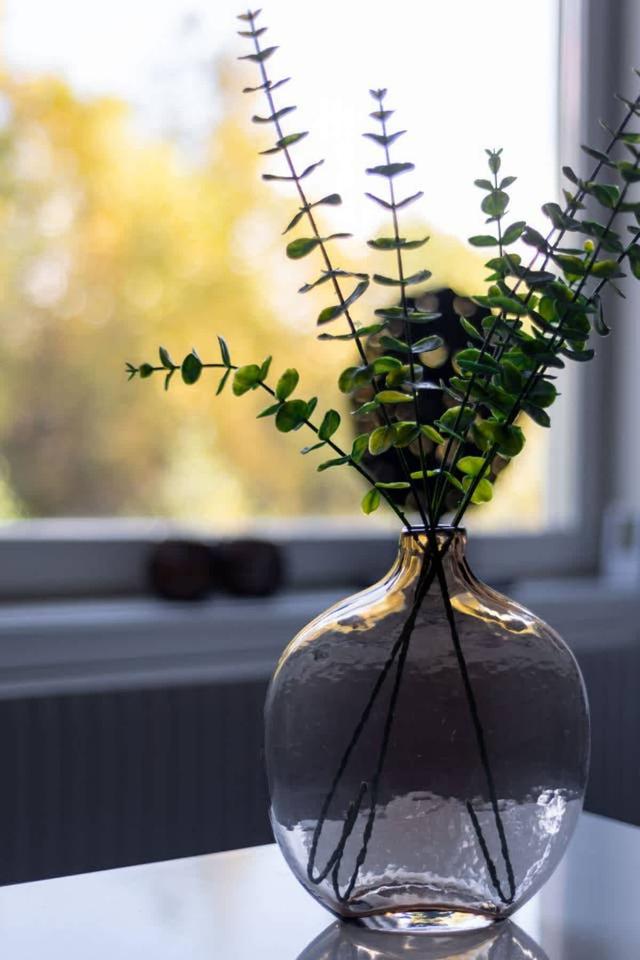 Platshållarbild från okänd plats