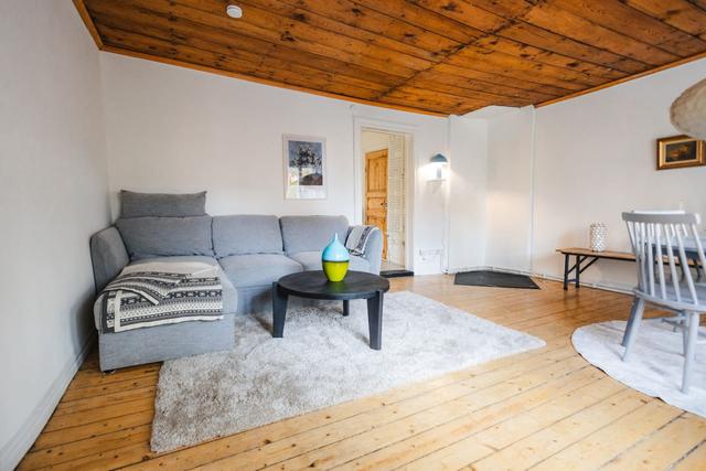 Gothenburg 1BR apartment with spacious windows and cozy decor.