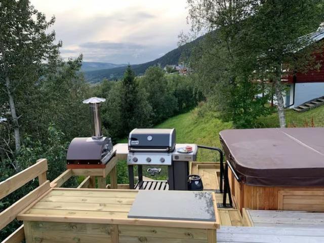 Panoramic Åre Lake views from cozy mountain retreat.