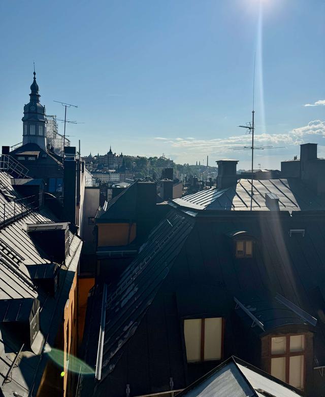 Ljust vardagsrum med konst, modernt kök, privat sovrum, loftsängar & takutsikt i Krakóws gamla stad