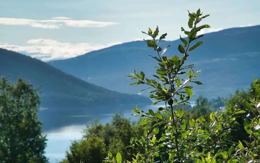 When do restaurants open for the summer in Åre?