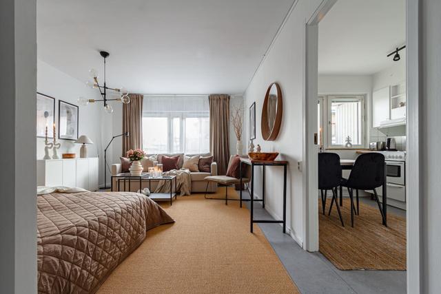 Living room with sofa bed in Södermalm studio apartment.