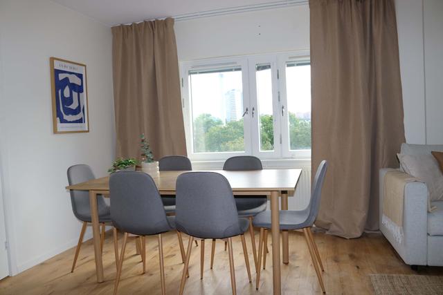 modern kitchen, SoFo apartment kitchen, Södermalm bright cooking area