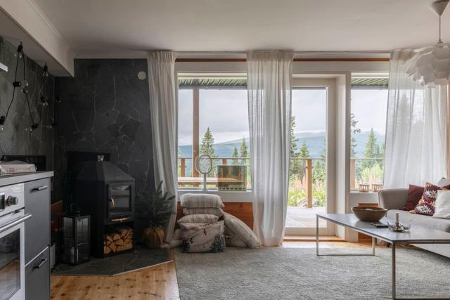 Björnen area apartment with lake and mountain views.