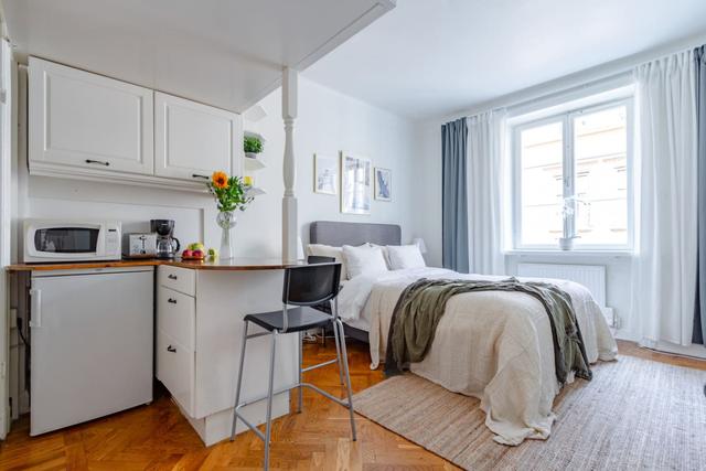 Compact studio apartment in Mariatorget, Södermalm.