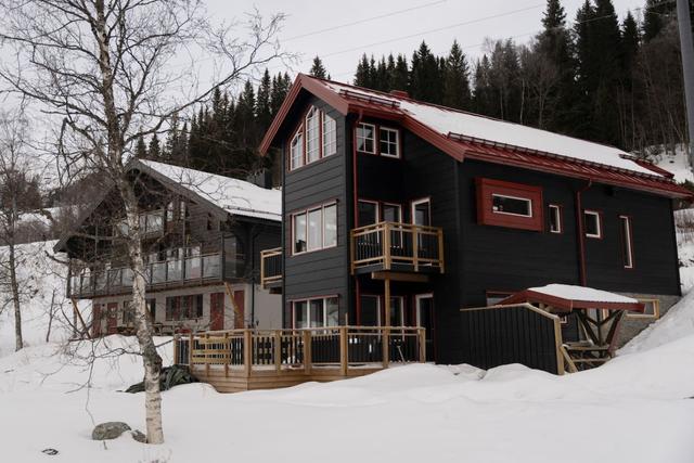 Tegefjäll villa med bastu, gym och utsikt över bergen