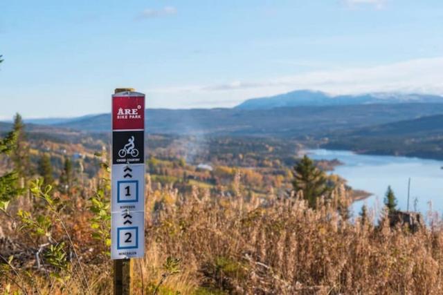 Vardagsrum med kokvrå och bergsutsikt i Åre-lägenhet