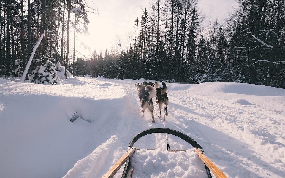 Vad kostar hundspann i Åre?