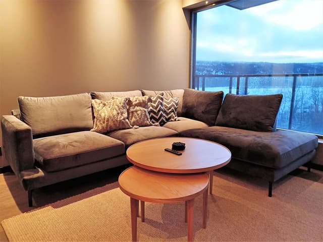 Contemporary apartment in Åre with private sauna and partially glazed balcony near the slopes