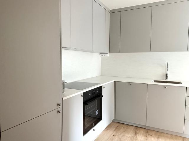 modern kitchen, SoFo apartment kitchen, Södermalm bright cooking area