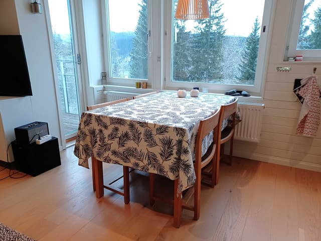 Lägenhet i Åre Hummeln i centrala Åre nära byn och skidsystemet, upp till sex personer