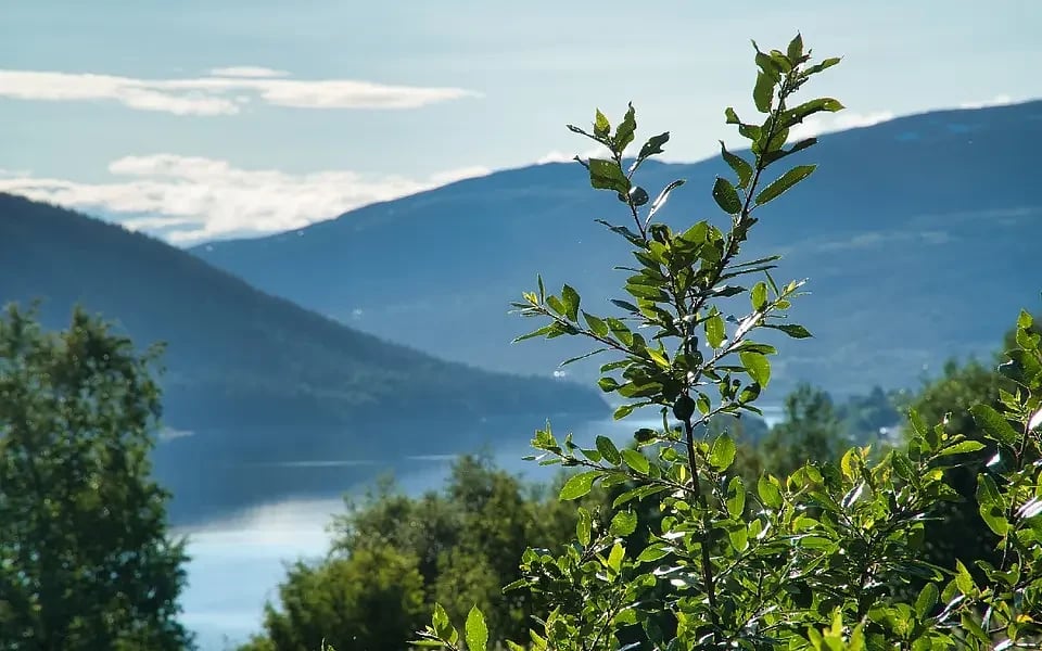 When do restaurants open for the summer in Åre?
