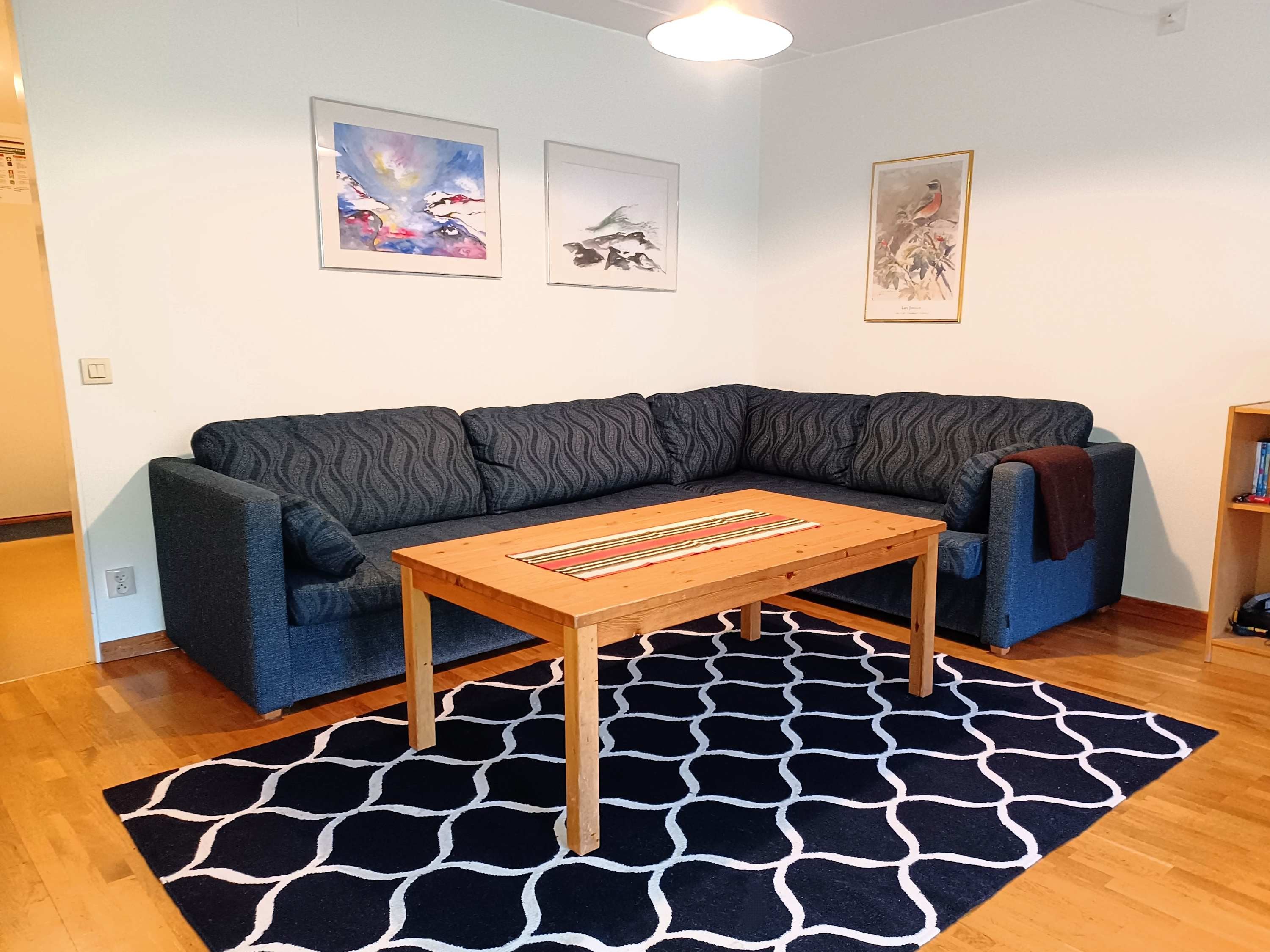 Central Åre apartment by the square near ski lifts, with sauna, balcony and ski storage